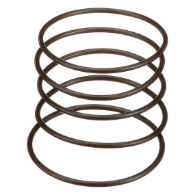 O-Ring (Mt40029226) Case