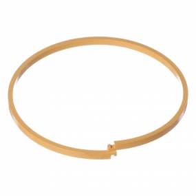 Dichtring Case 247881A1