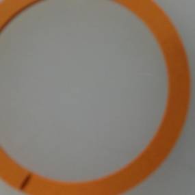 Stützring (387362R2) Case