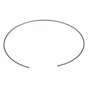 Sicherungsring Case