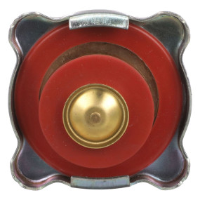 Kühlerverschlussdeck Case 47762055