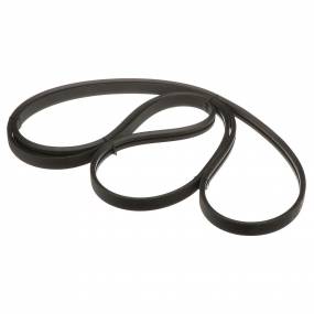 Riemen Case 84076421