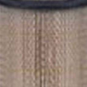 Luftfilter (Af4955) Case