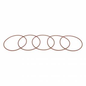 O-Ring (17291781) Case