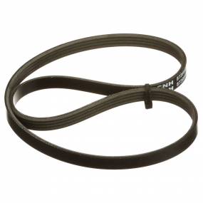 Riemen Case 87399980