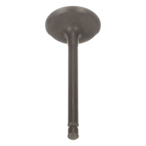Einlassventil, Stand Case SBA120166270