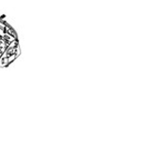 Anbauger-T Case 87373396