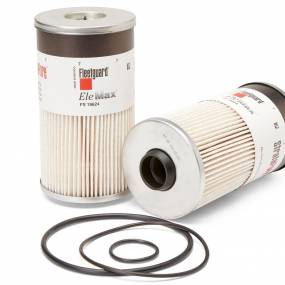 Kraftstofffilter (Fs19624) Case