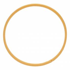 Dichtring Case 1286025C1