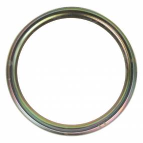 Scheibe Case 5101131