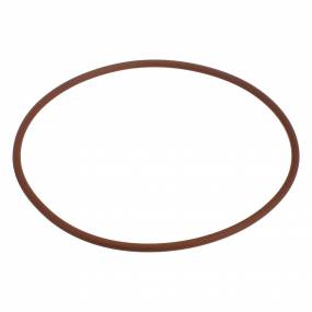 O-Ring (17291881) Case