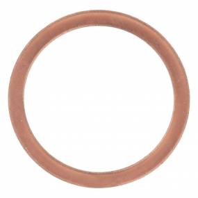 Dichtung, Flach Case 356799R1