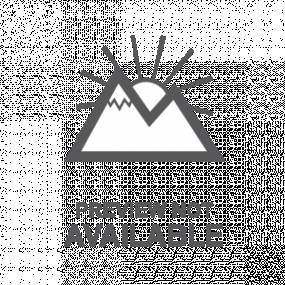 Bolzen Case 47130774