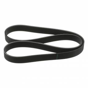 Riemen Case 47497868