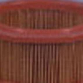 Luftfilter (Af1852) Case