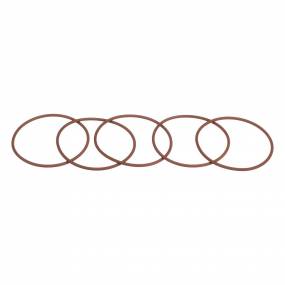 O-Ring (17284681) Case