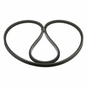 Riemen Case 3129140R1