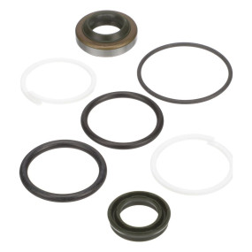 Dichtungssatz Case SBA344960440