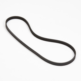 Riemen Case 84317961