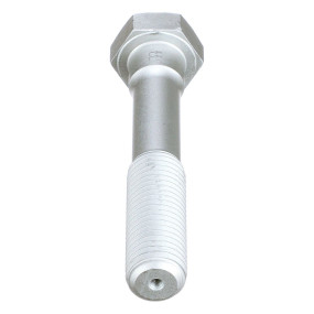 Schraube Case 84557916