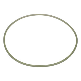 O-Ring Case 87270312