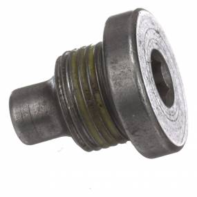 Führung (87644763) Case