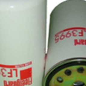 Motorölfilter (Lf3995) Case