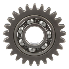 Zahnrad Case 84390159