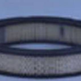 Luftfilter (Af1789) Case