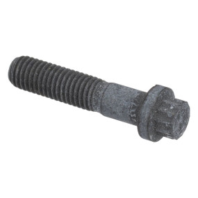 12Kt-Schraube (87017891) Case