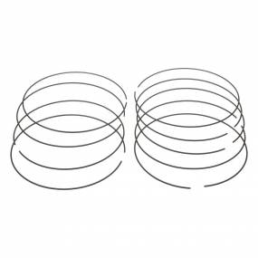 Sprengring Case 87383398