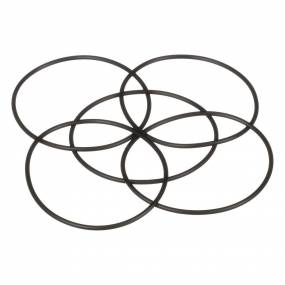 O-Ring Case