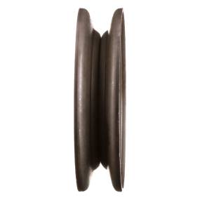 Riemenscheibe Case 181127C1