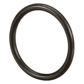 O-Ring Case 87597284