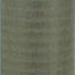 Luftfilter (Af25294) Case