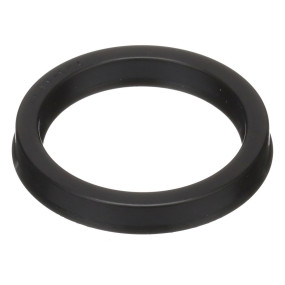 Dichtung Case 119203C1