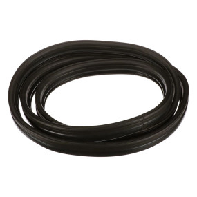 Glasabdichtung Case 87679907