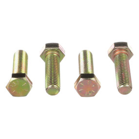 Schraube Case 86508732