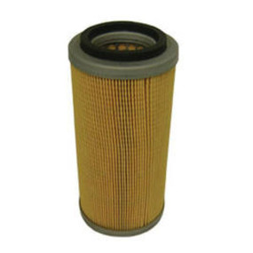 Luftfilter (Af26230) Case