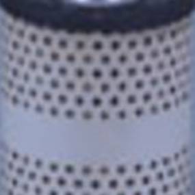 Kraftstofffilter (Ff248) Case