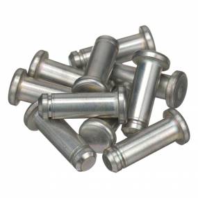 Sicherungsstift (5108541) Case