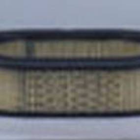 Luftfilter (Af25014) Case