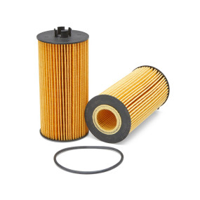 Motorölfilter (Lf16166) Case