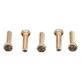 Schraube (120068) Case