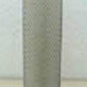 Luftfilter (Af25419) Case