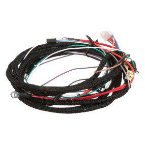 Kabelbaum Case 538995R1