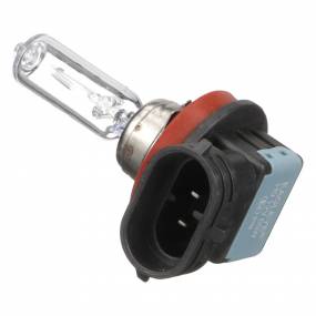 Glühlampe Case