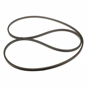 Riemen Case 87566356