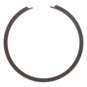 Sprengring Case 401720R1