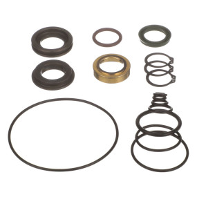 Dichtungssatz (5284) Case